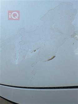 تويوتا أفالون